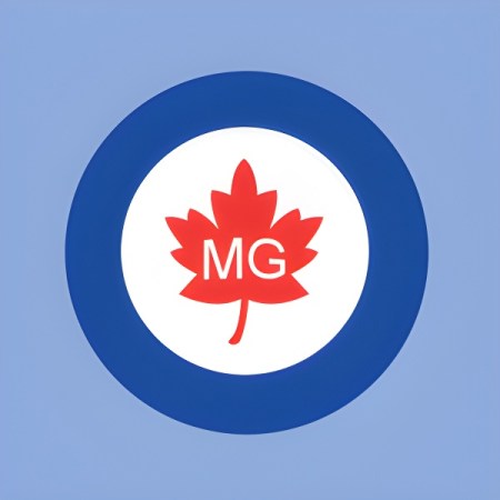 Matthew Good Essentials playlist cover art