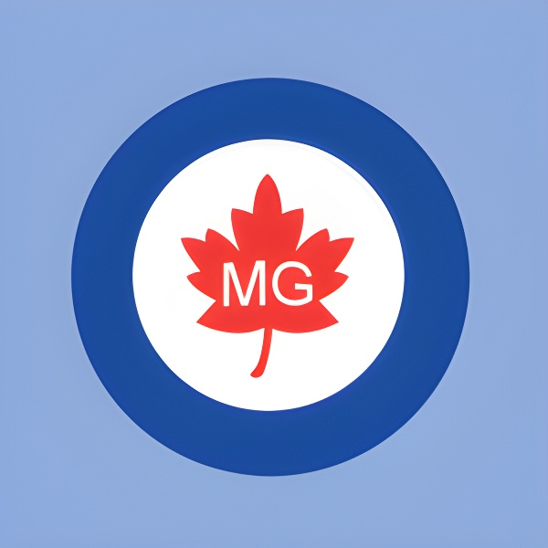 Matthew Good Essentials