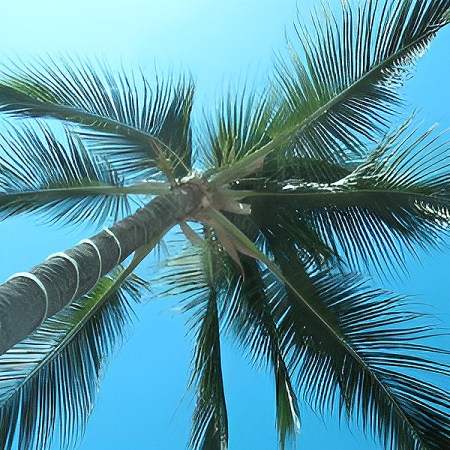 Superfuzz Cassette Club 12 playlist cover art